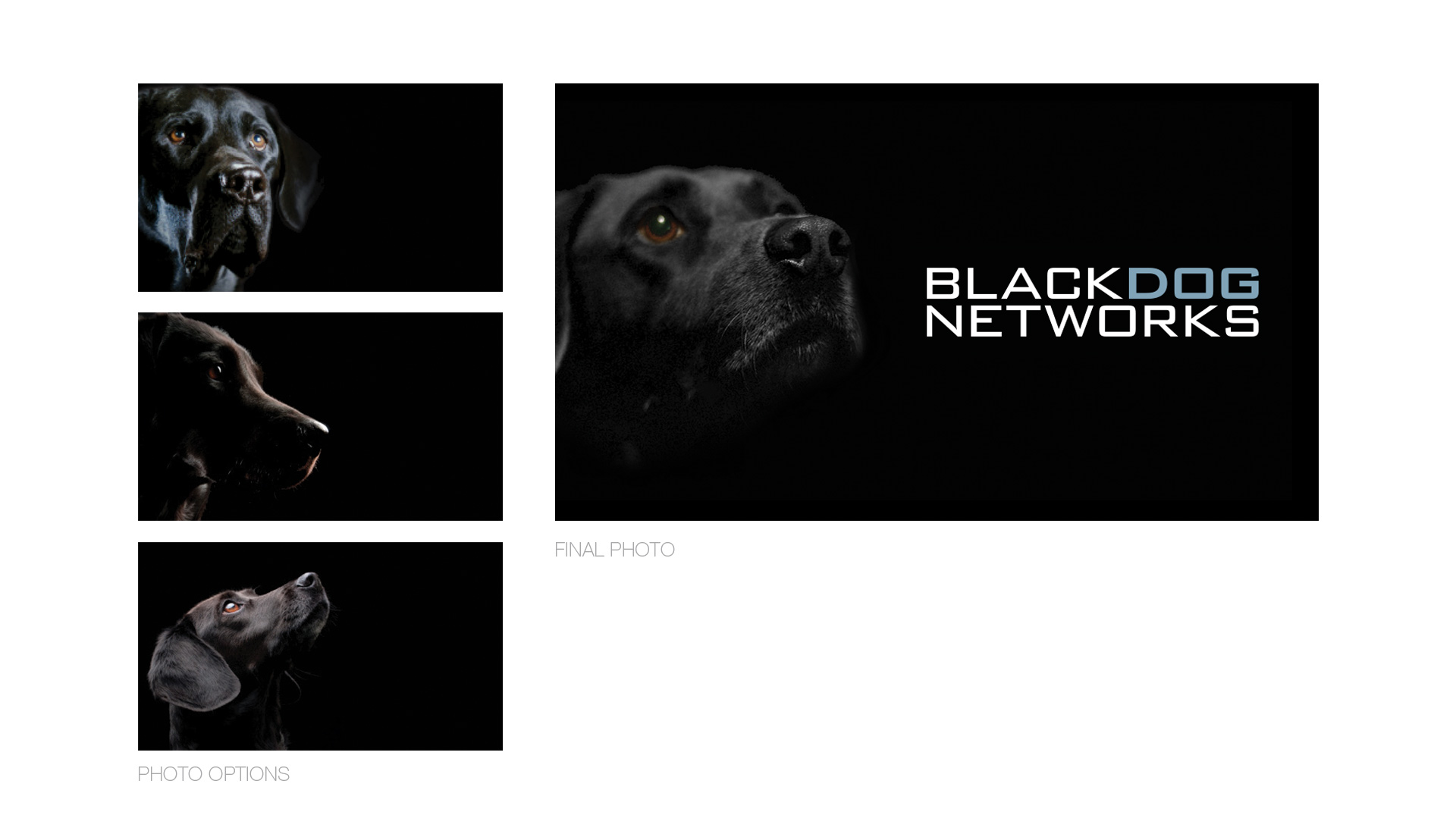 05_blackdog_06
